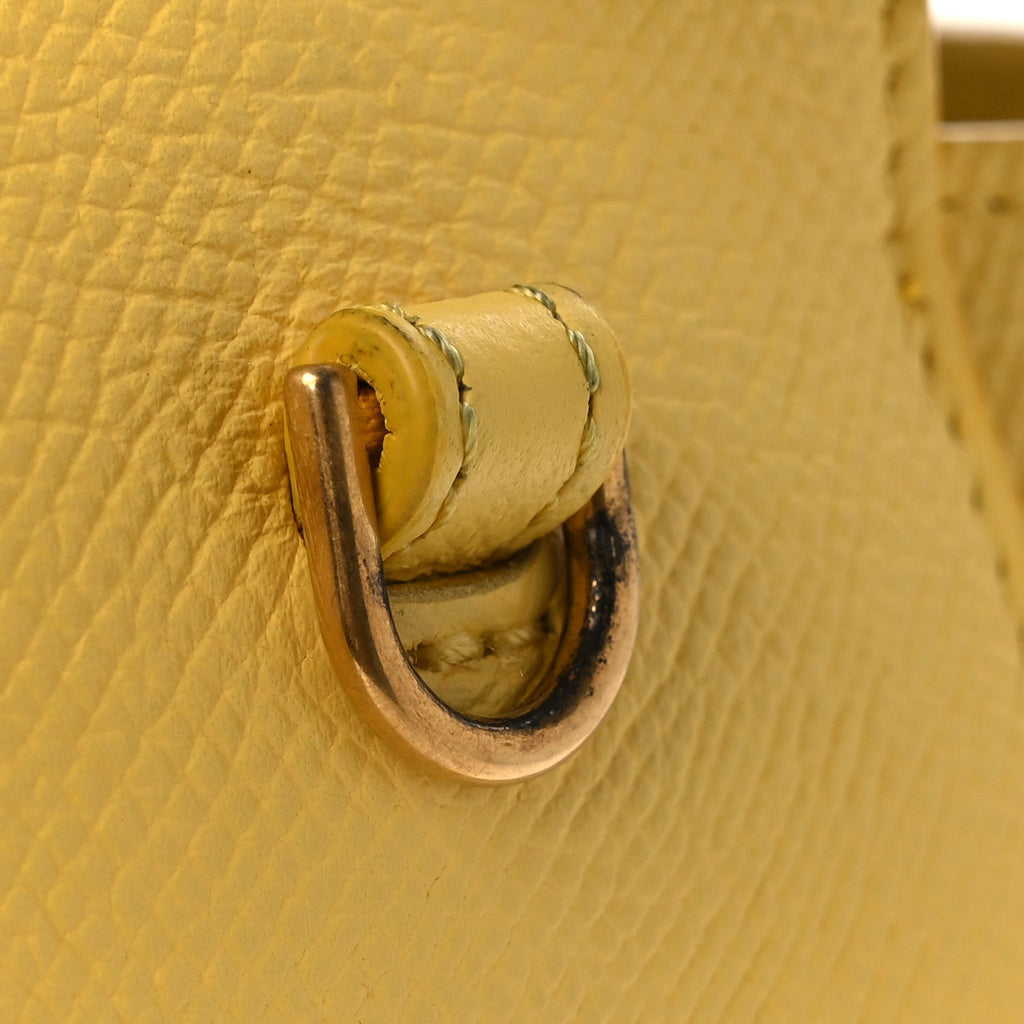 Grained Calfskin Nano Belt Bag Citrus