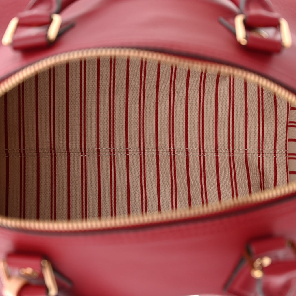 Calfskin LV Travels With Grace Coddington Speedy Soft 30 Plum