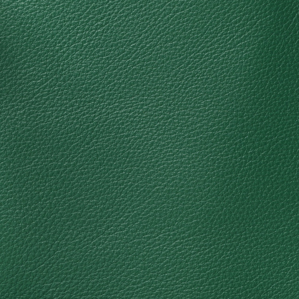 Goyardine Reversible Mini Anjou Green