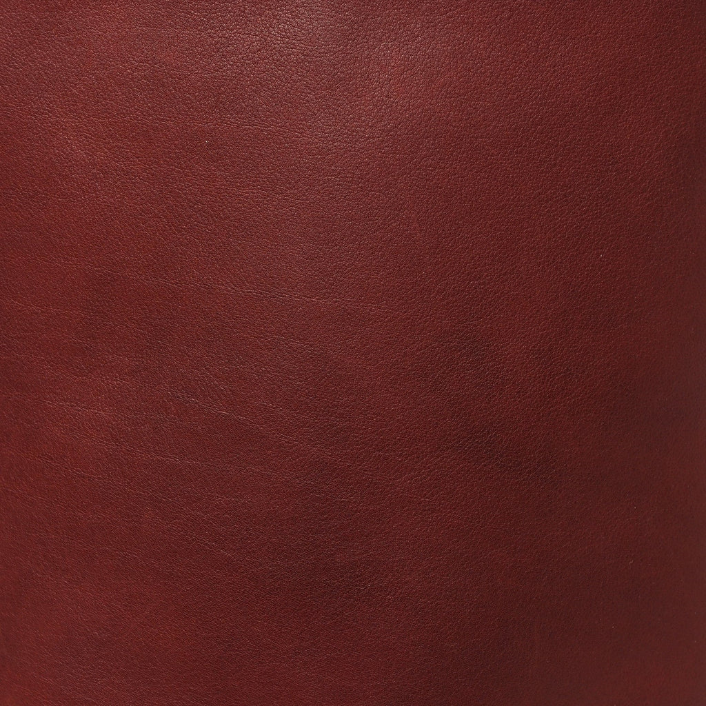 Polished Saddle Calfskin Medium N/S Park Tote Burnt Wood