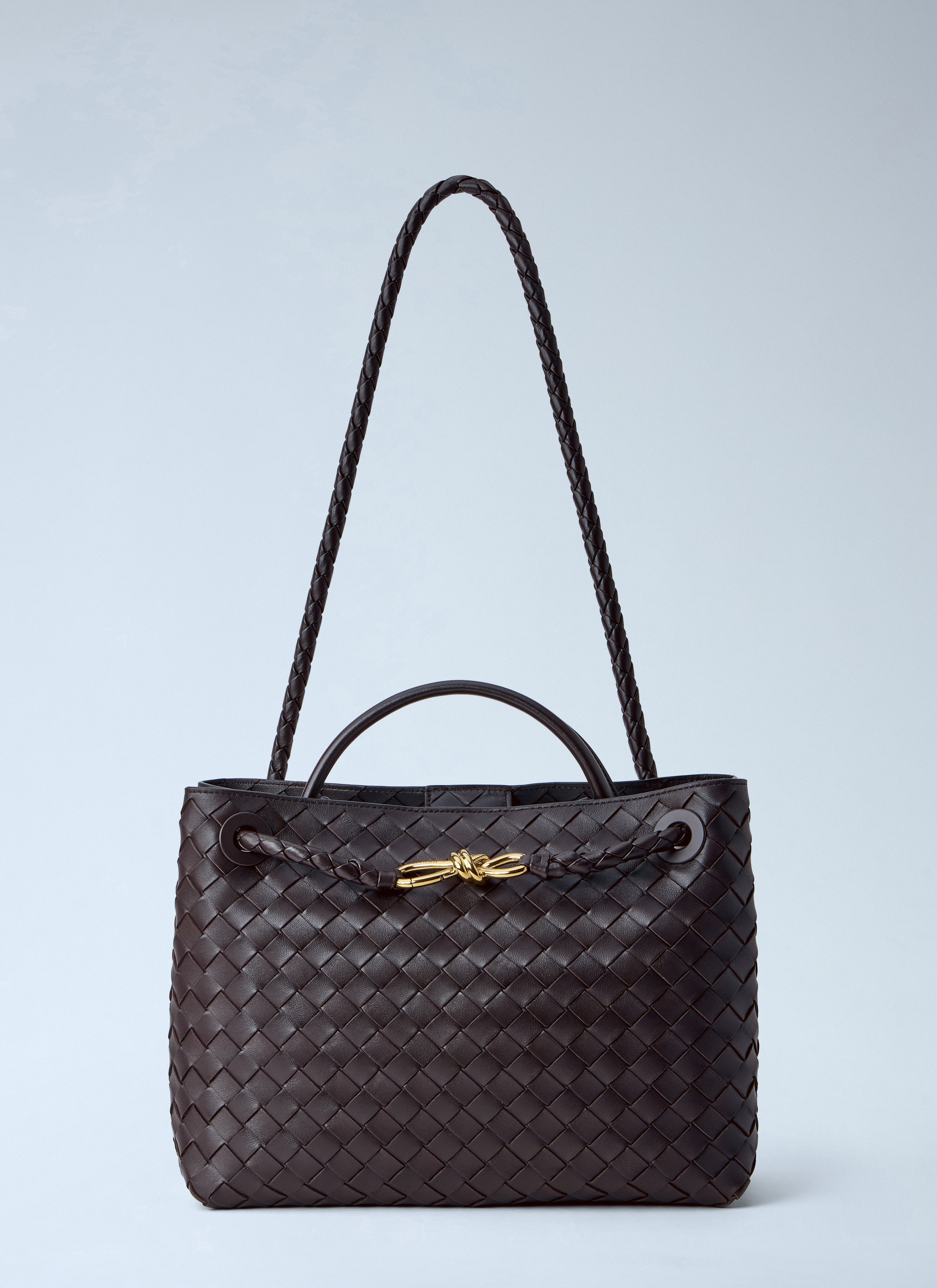 Bottega Veneta Women Medium Andiamo Handbag
