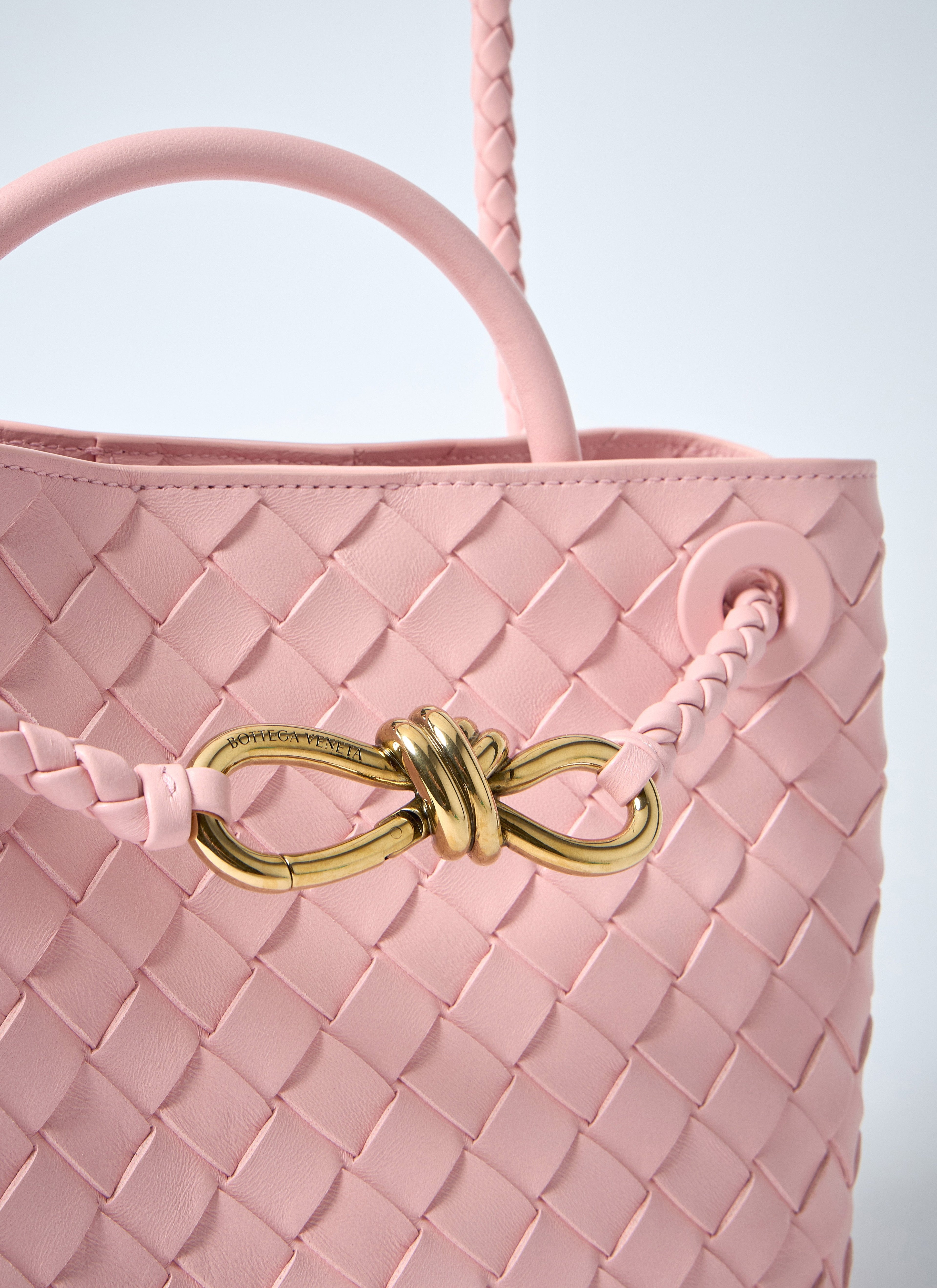 Bottega Veneta Women Small Andiamo Handbag