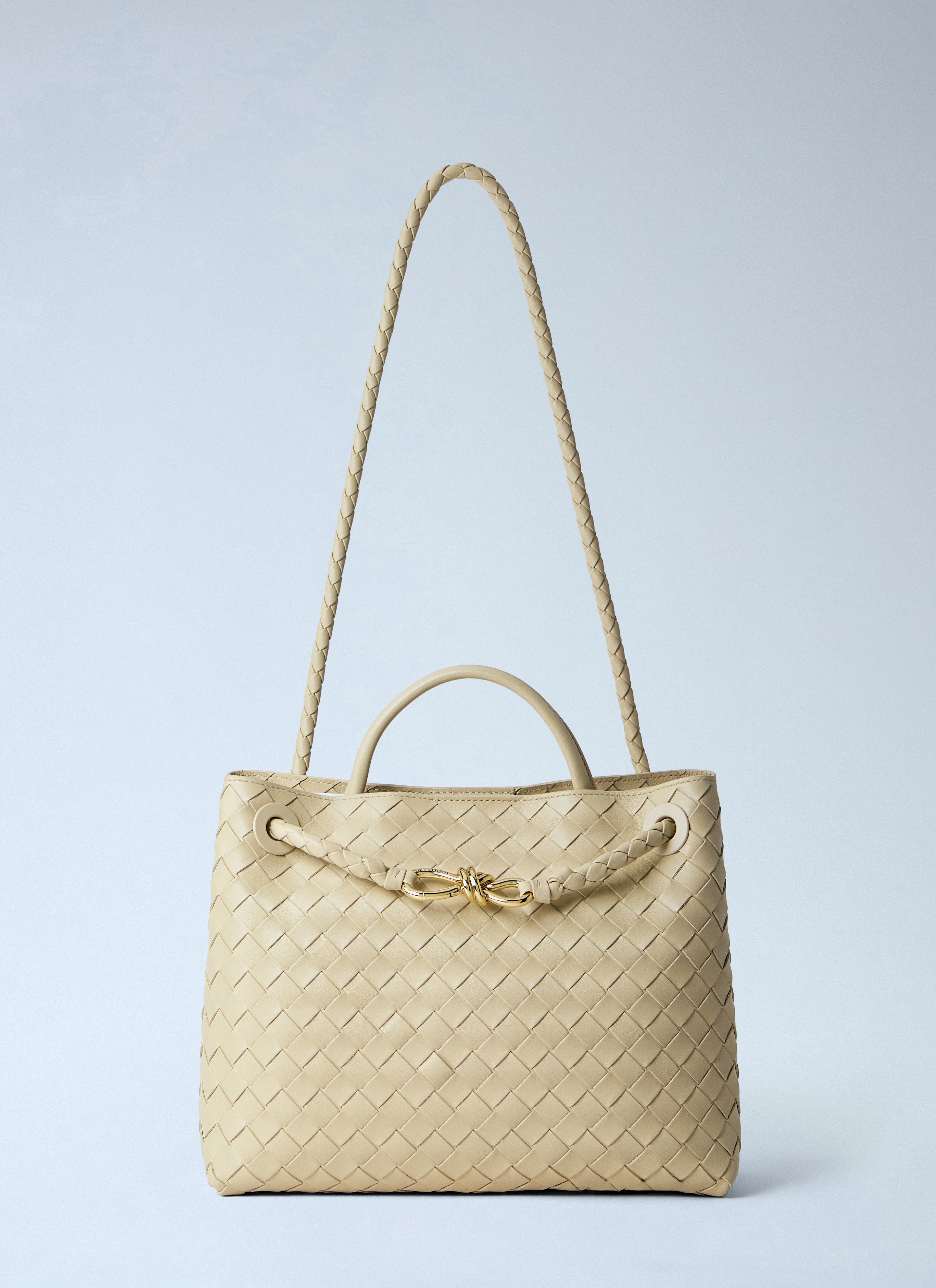 Bottega Veneta Women Andiamo Medium Handbag