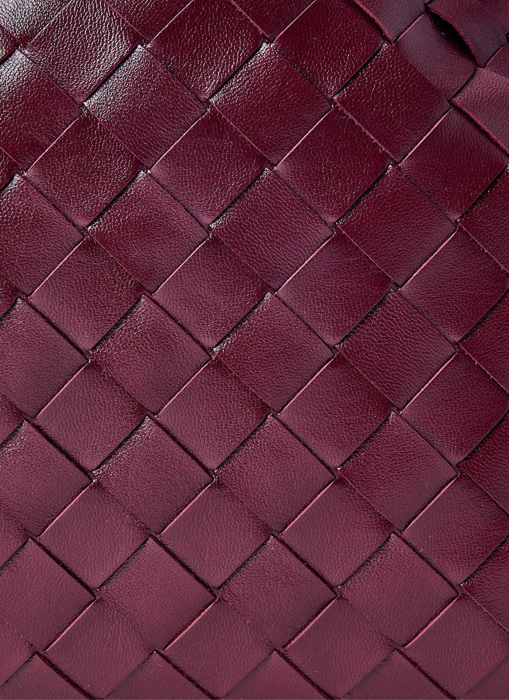 Bottega Veneta Women Intrecciato Leather Dustbag