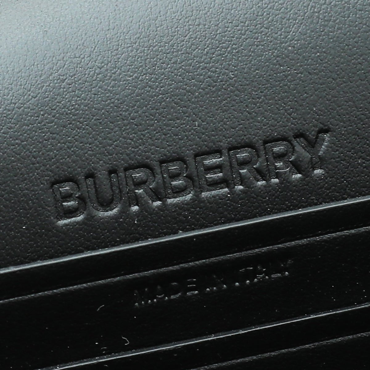 Burberry Bicolor Olympia Bumbag
