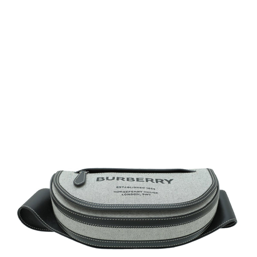 Burberry Bicolor Olympia Bumbag