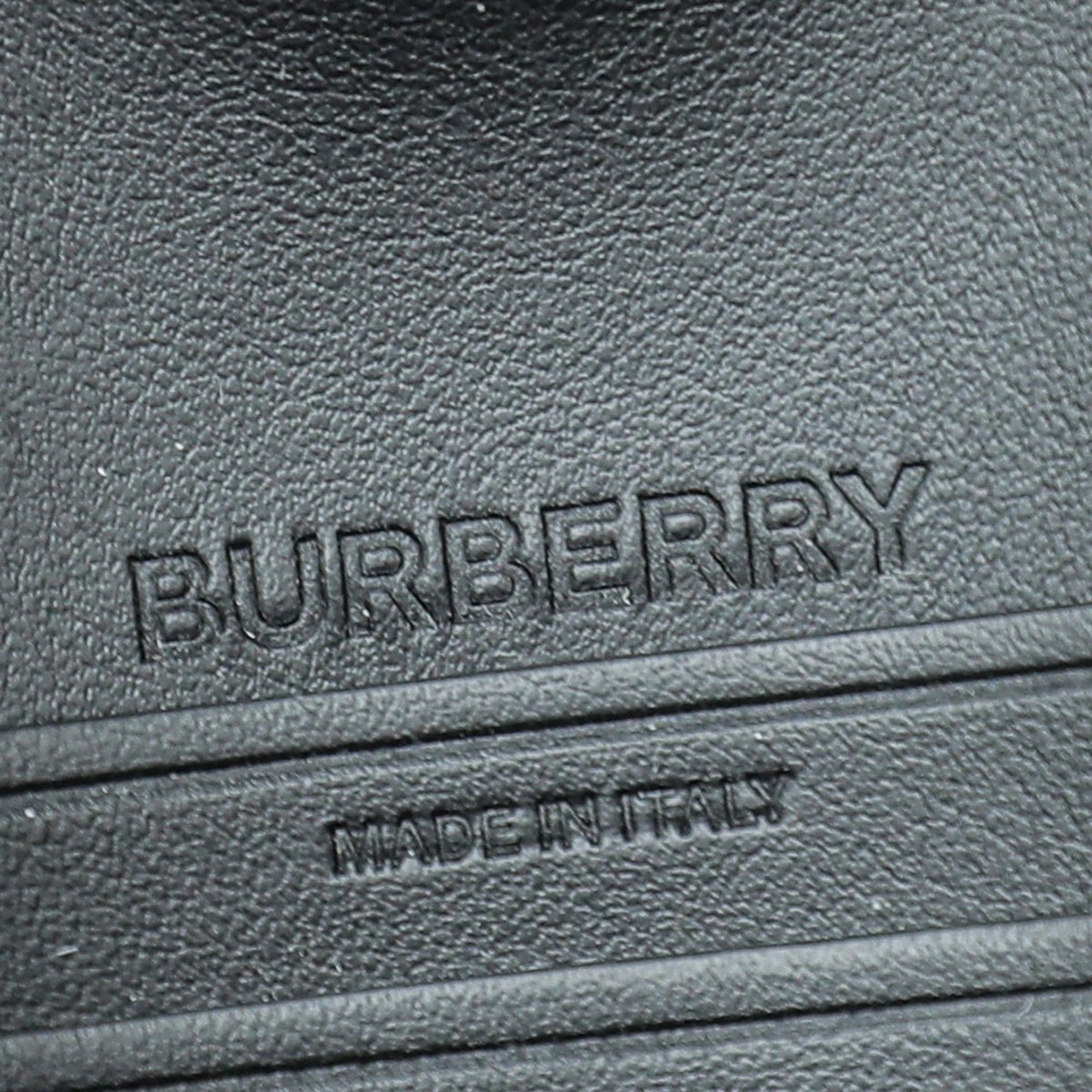 Burberry Bicolor Olympia Small Bumbag