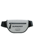 Burberry Bicolor Olympia Small Bumbag