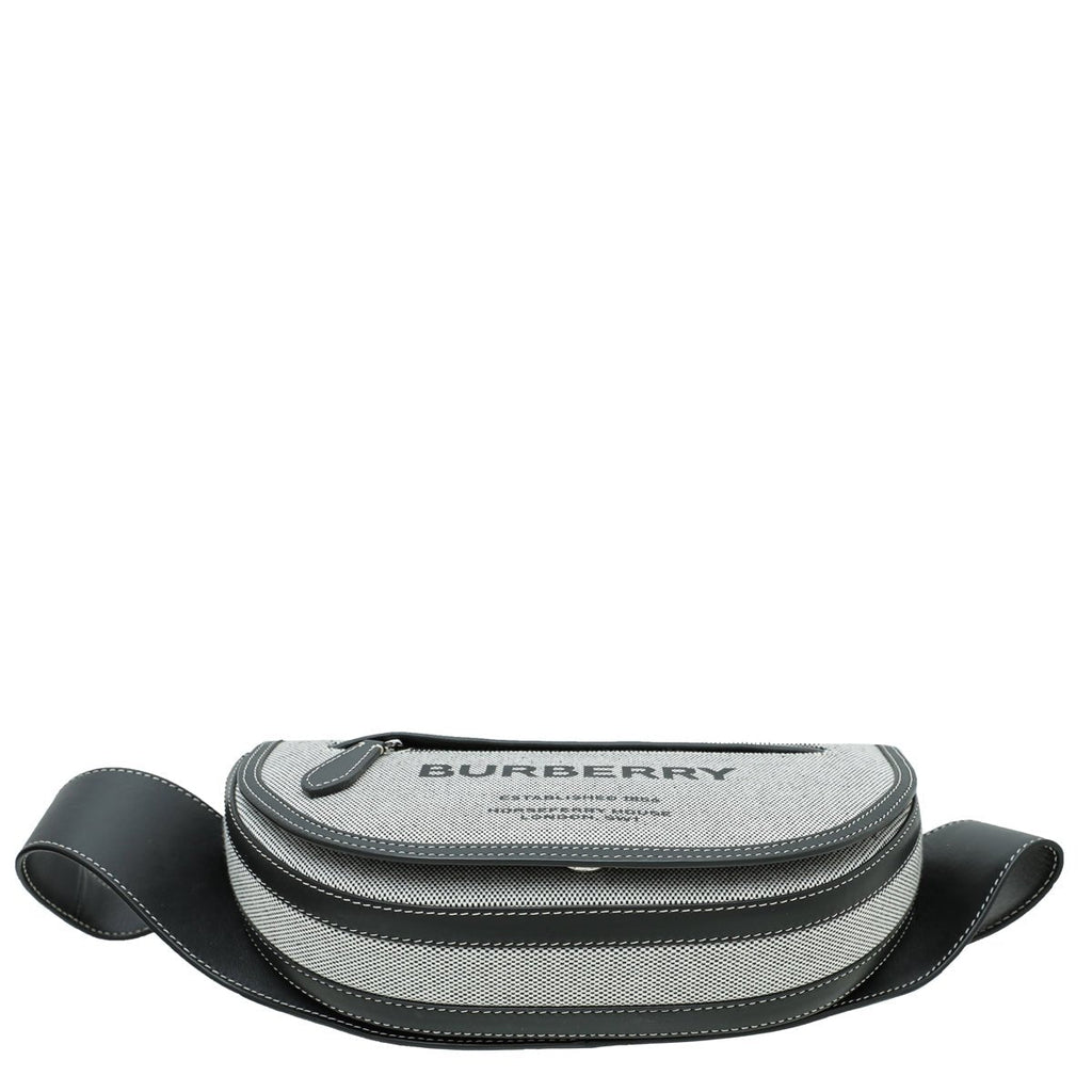 Burberry Bicolor Olympia Small Bumbag