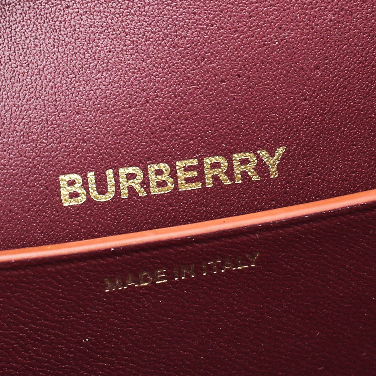 Burberry Tricolor Olympia Mini Bag