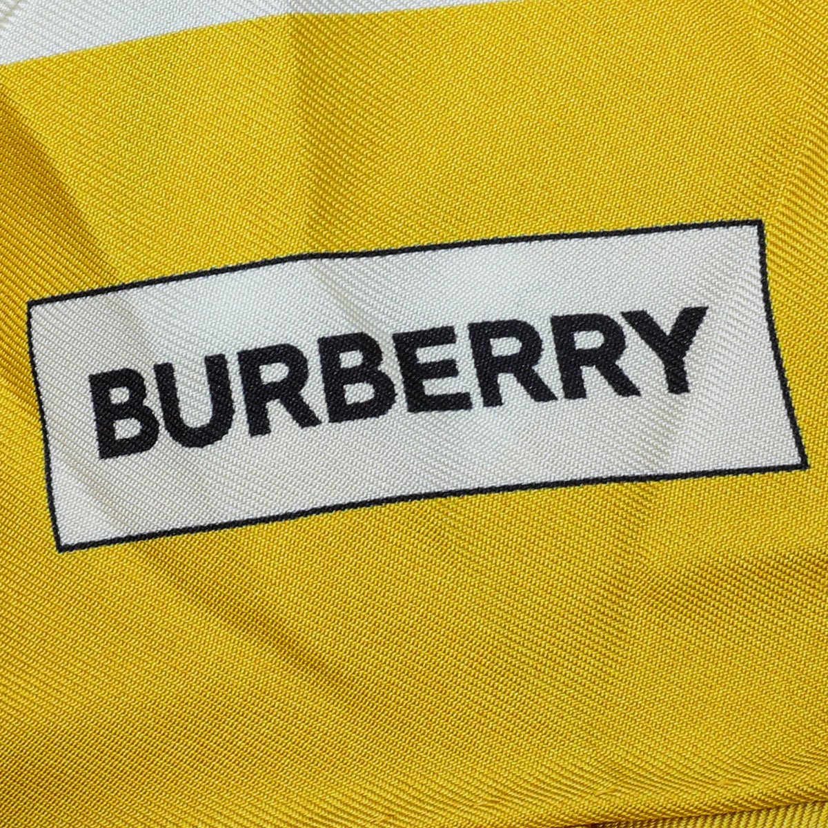 Burberry Yellow Botanical Study Print Silk Scarf
