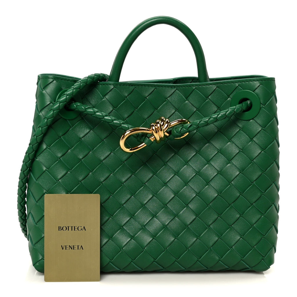 Nappa Intrecciato Small Andiamo Shoulder Bag Jungle