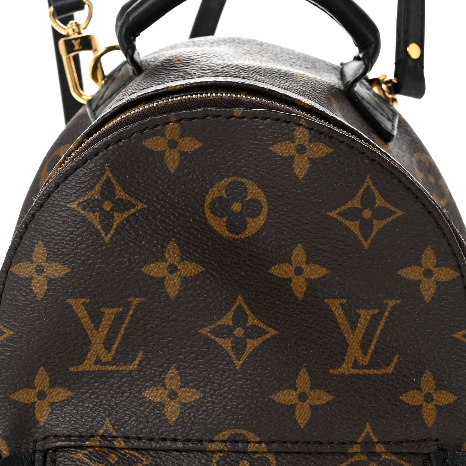 Monogram Palm Springs Backpack Mini