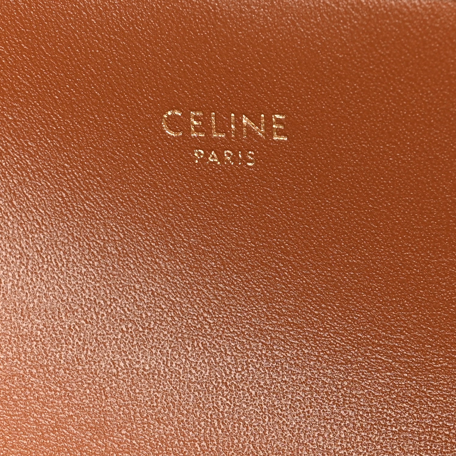 Canvas Calfskin Triomphe Shoulder Bag Tan