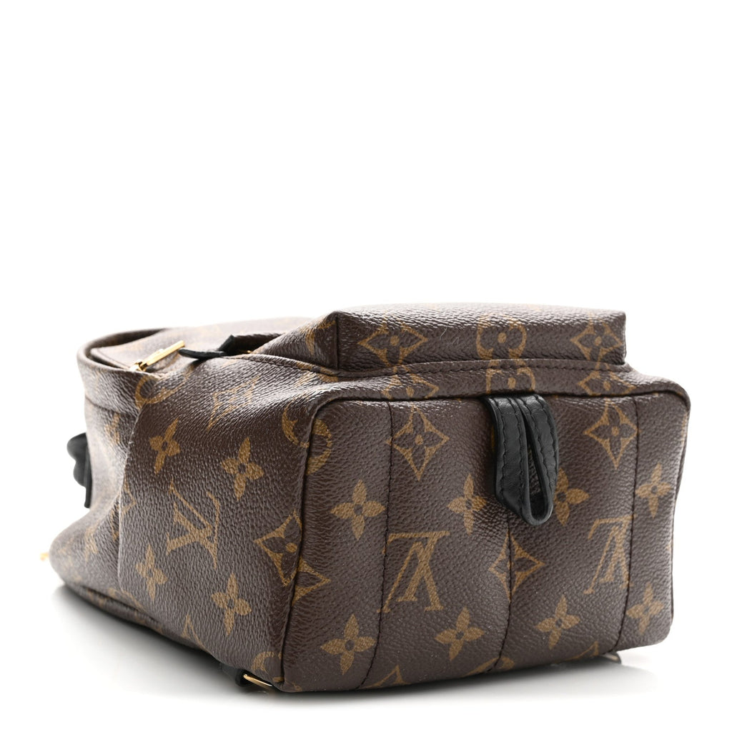 Monogram Palm Springs Backpack Mini