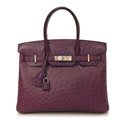 Ostrich Birkin 30 Violine