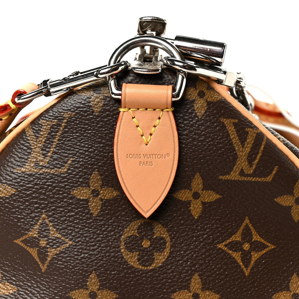 Monogram Speedy Soft Crafty 30