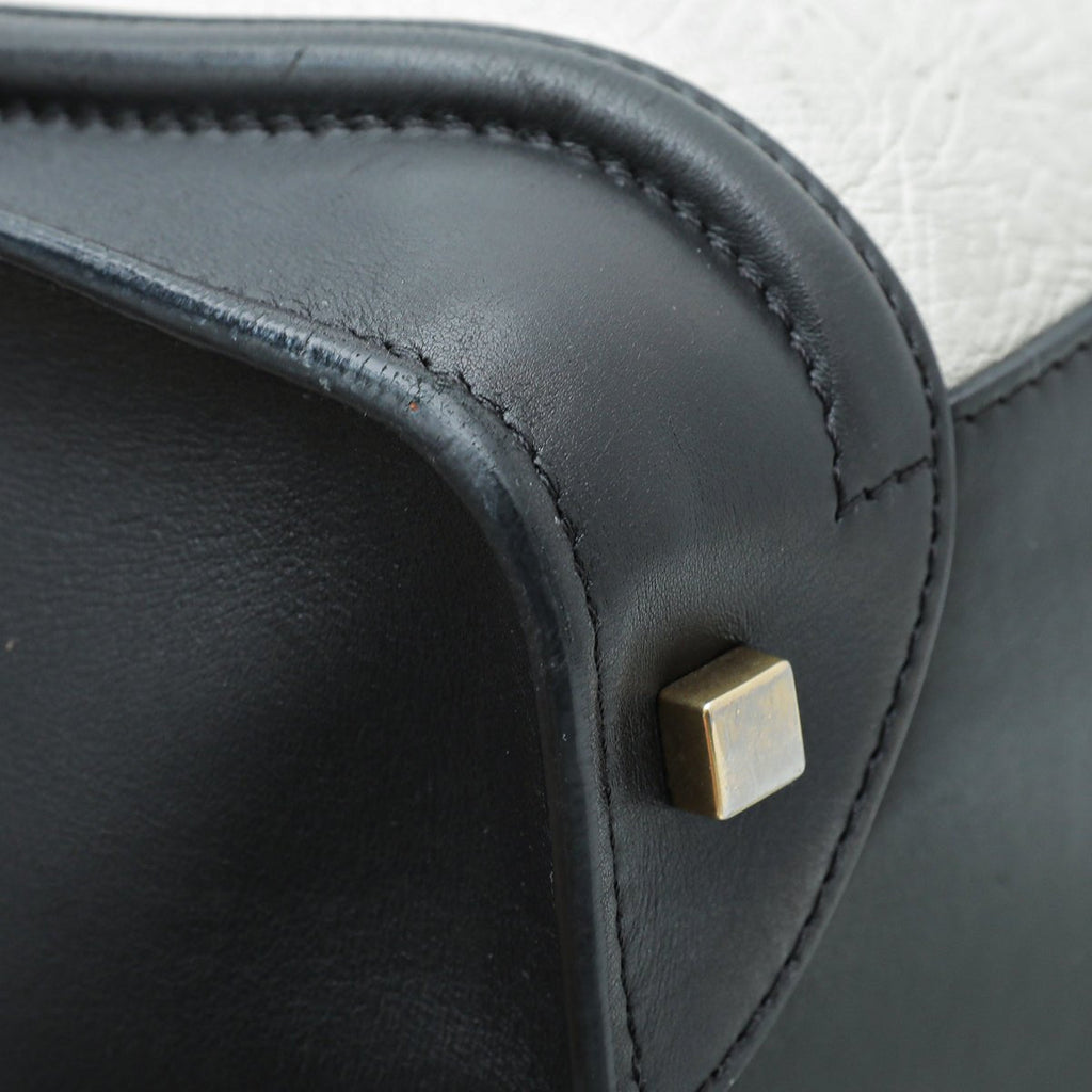 Celine Bicolor Mini Luggage Bag