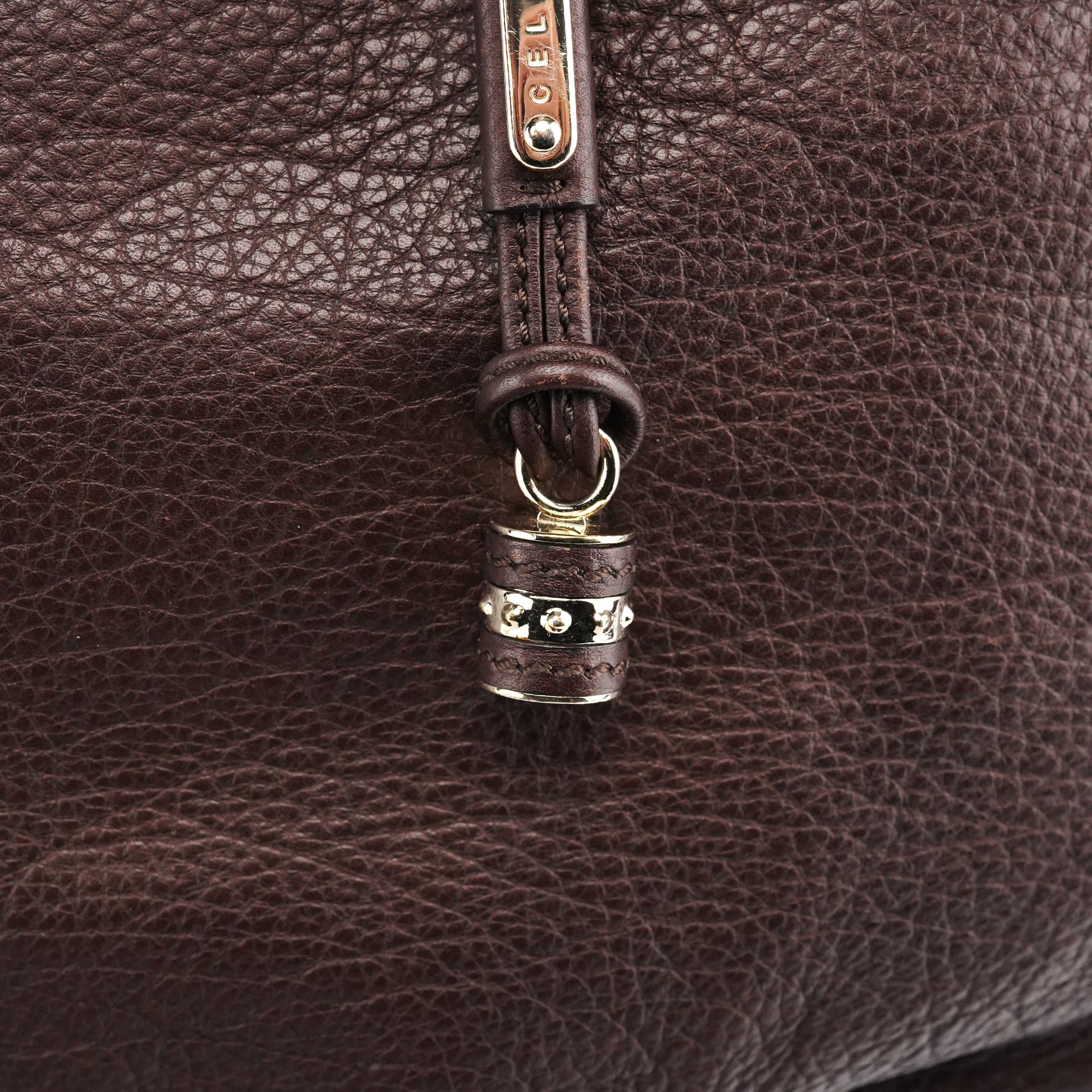 Brown Leather Bittersweet Shoulder Bag