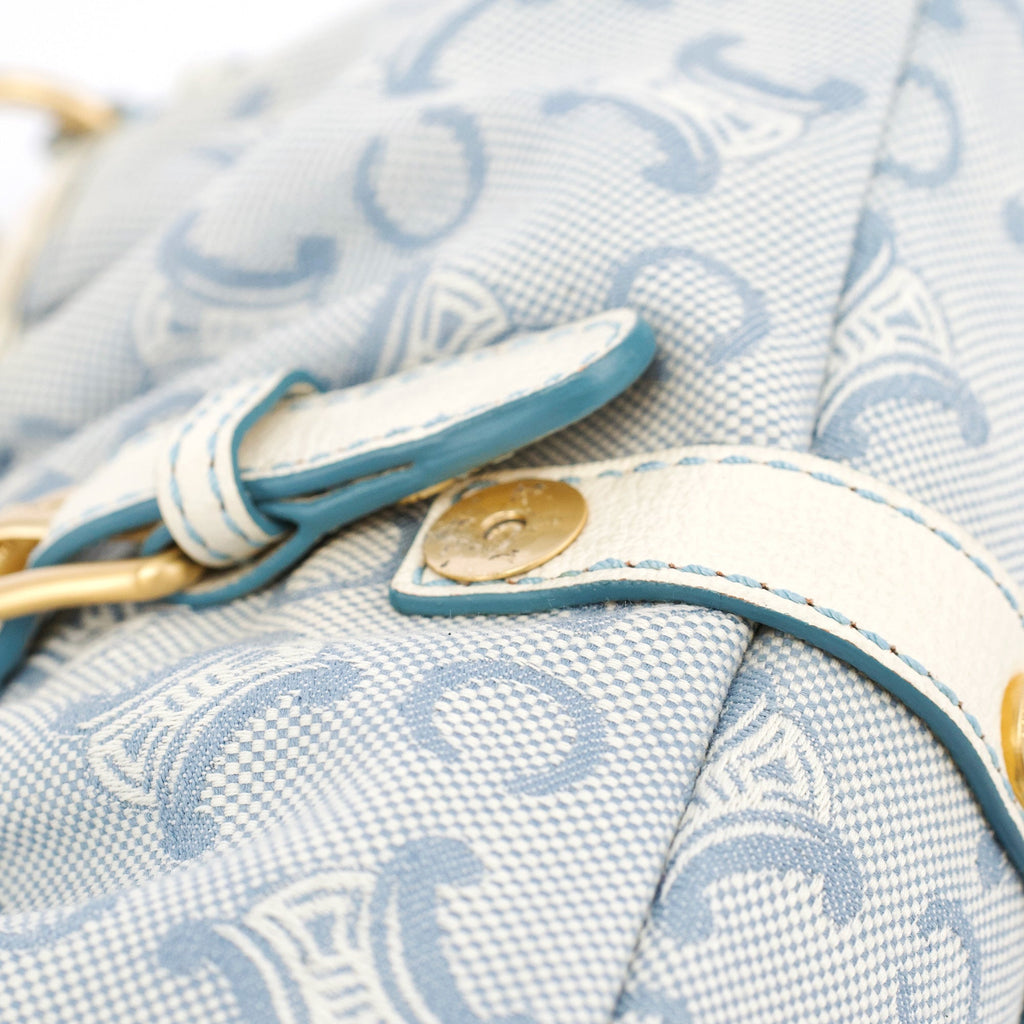 Light Blue Triomphe Mini Hobo Bag