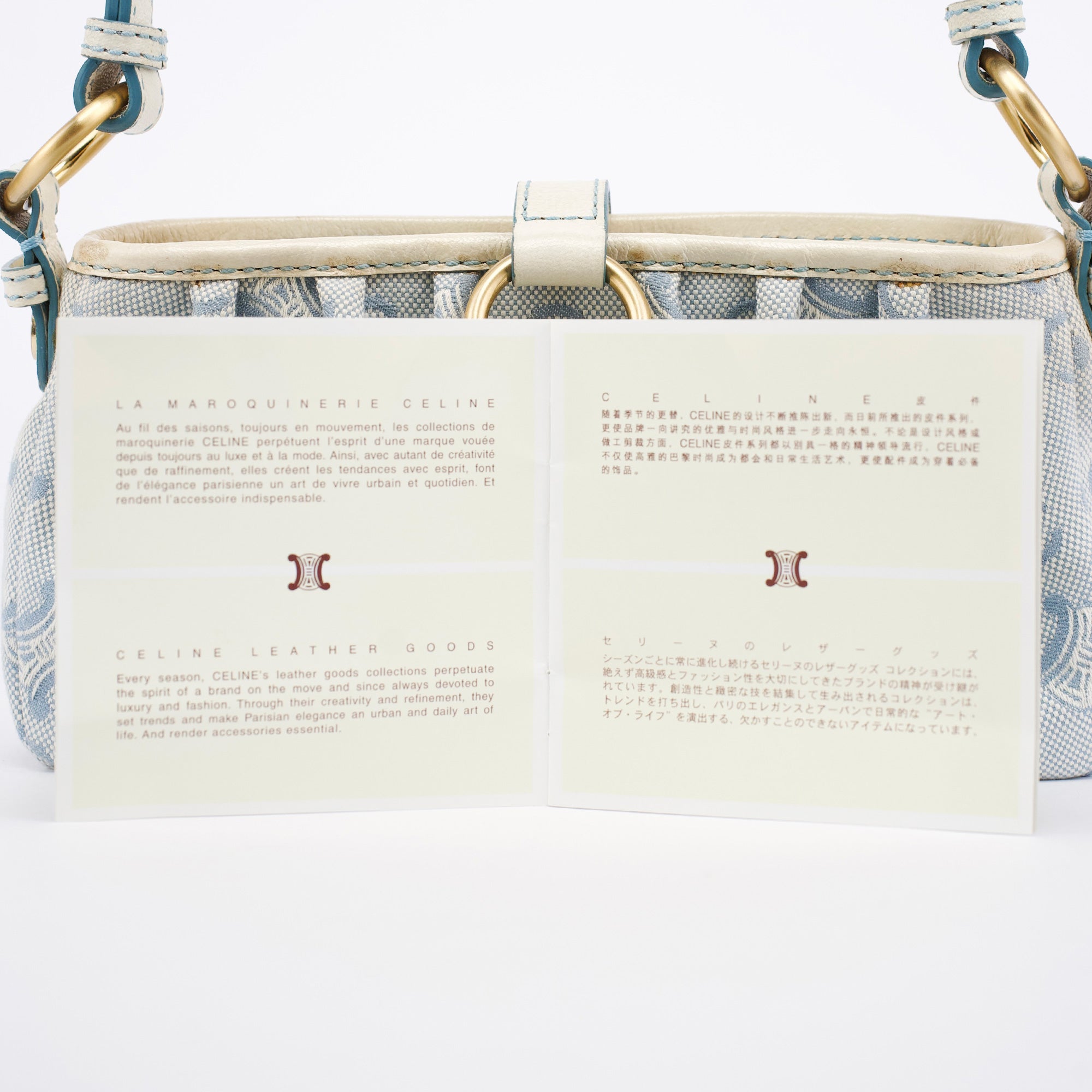 Light Blue Triomphe Mini Hobo Bag