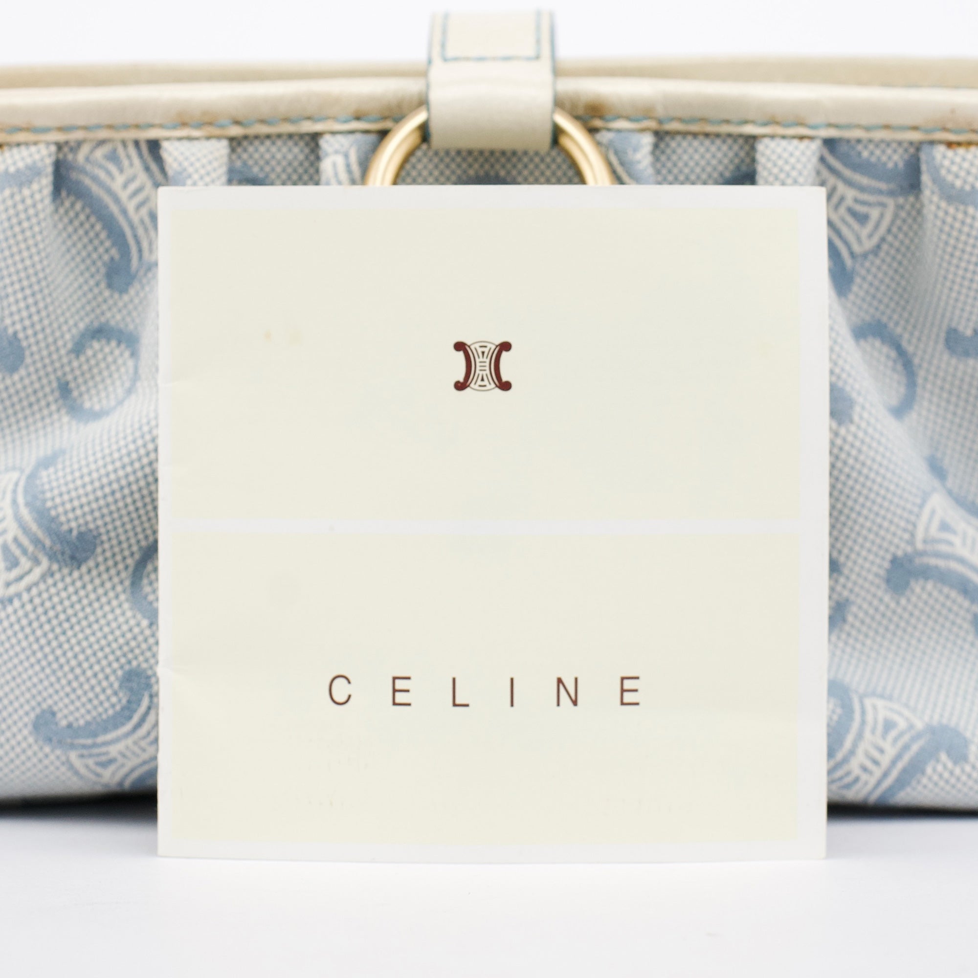 Light Blue Triomphe Mini Hobo Bag