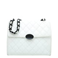 Chanel Bicolor Resin Chain Flap Bag