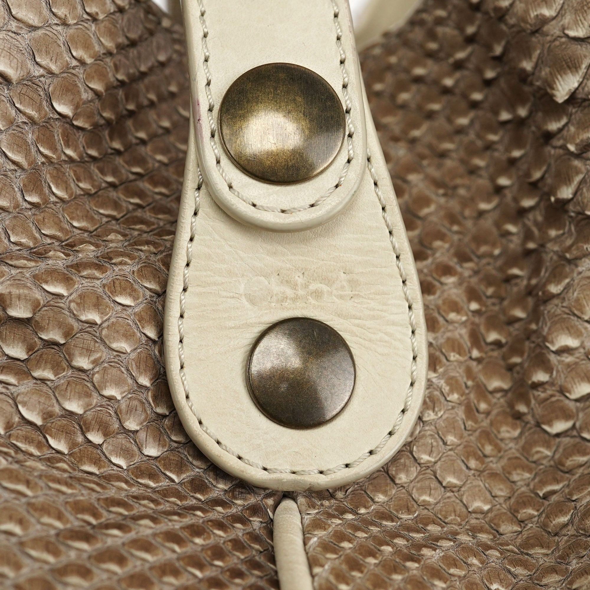 Beige Small Python Silverado Bag