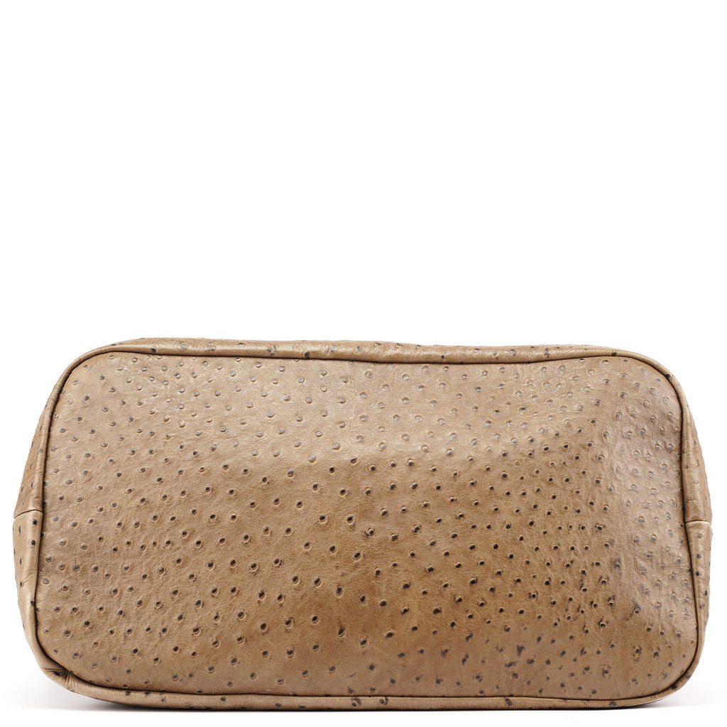 Brown Ostrich Leather Boston Bag