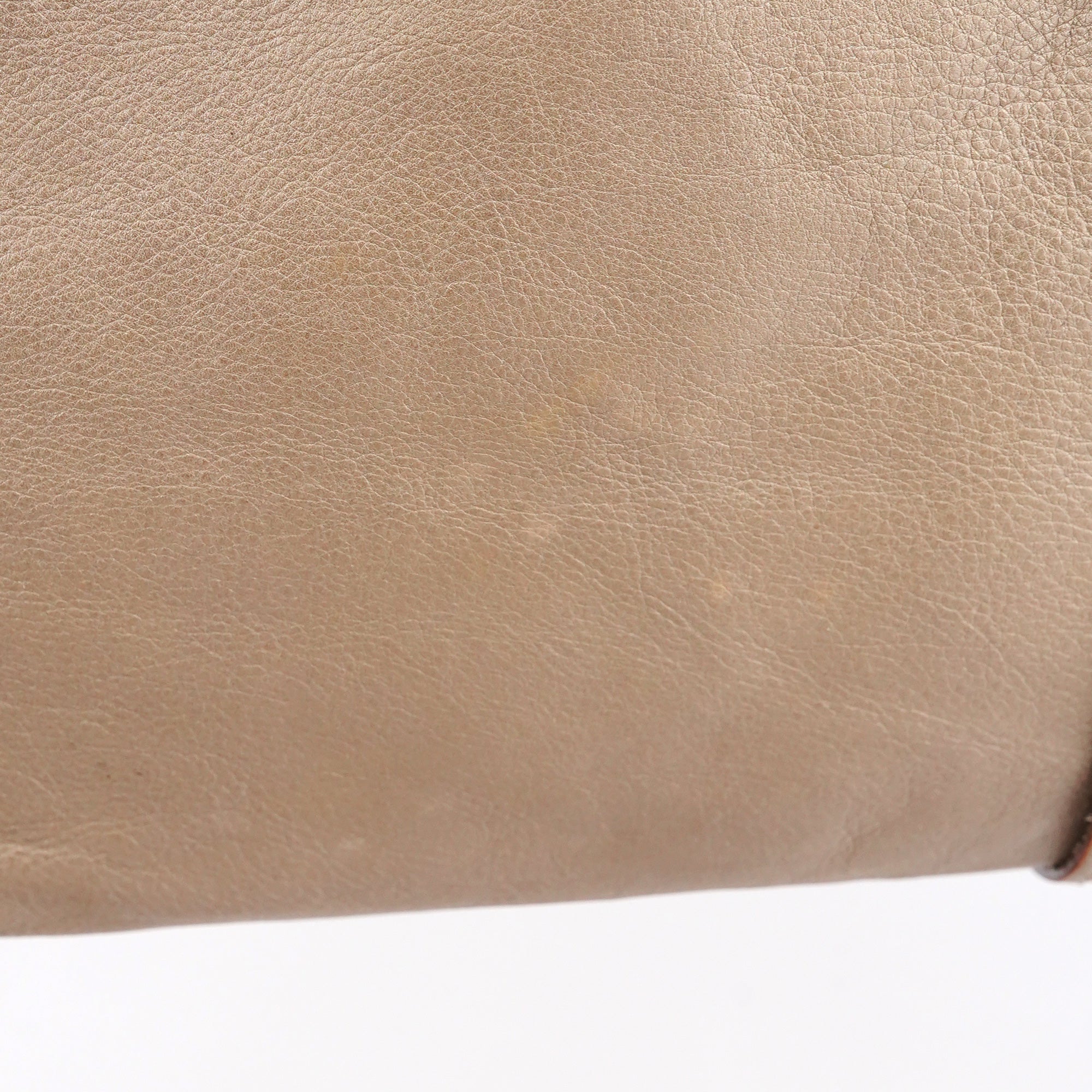 Metallic Leather Tracy Tote Bag