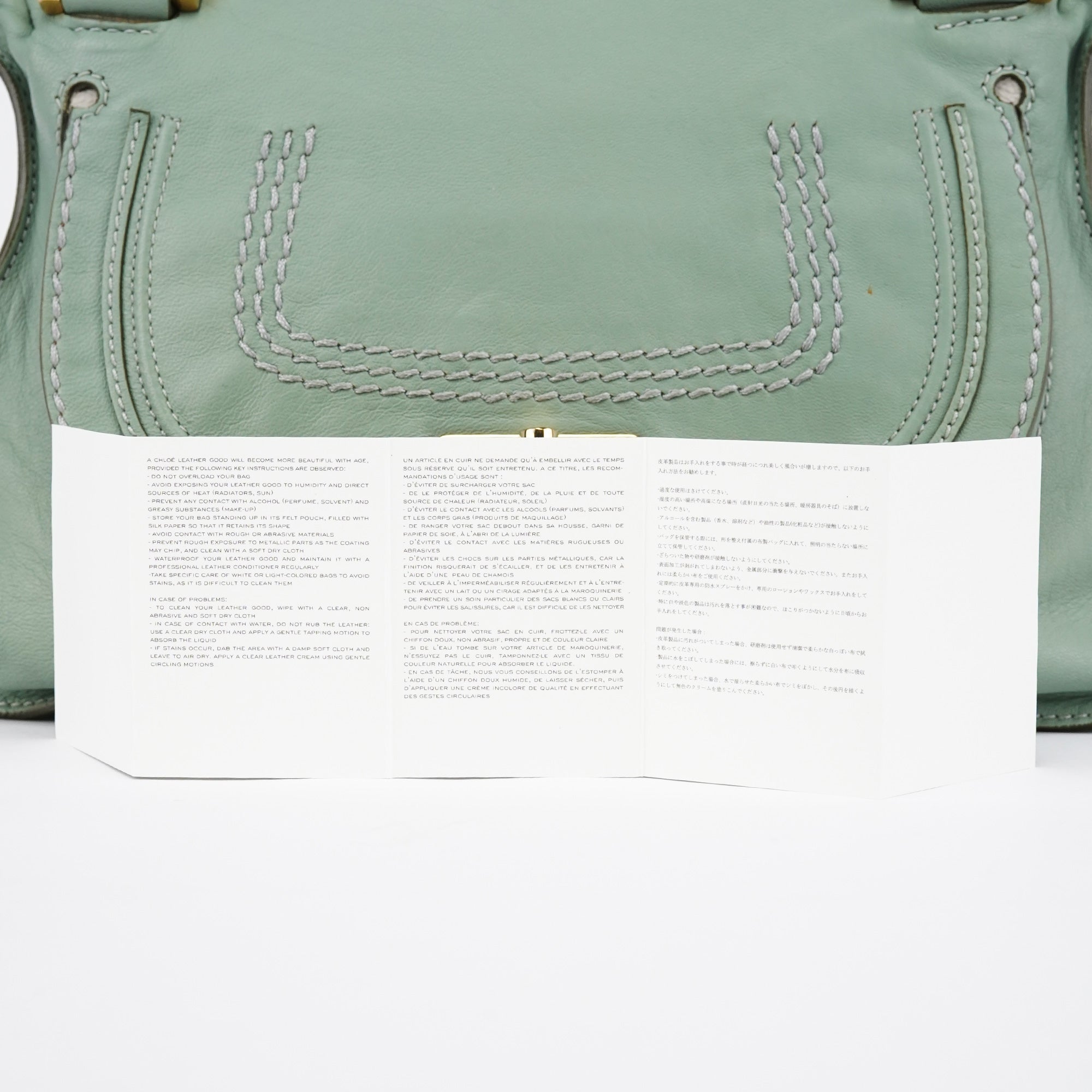 Sage Green Leather Marcie 2-Way Bag
