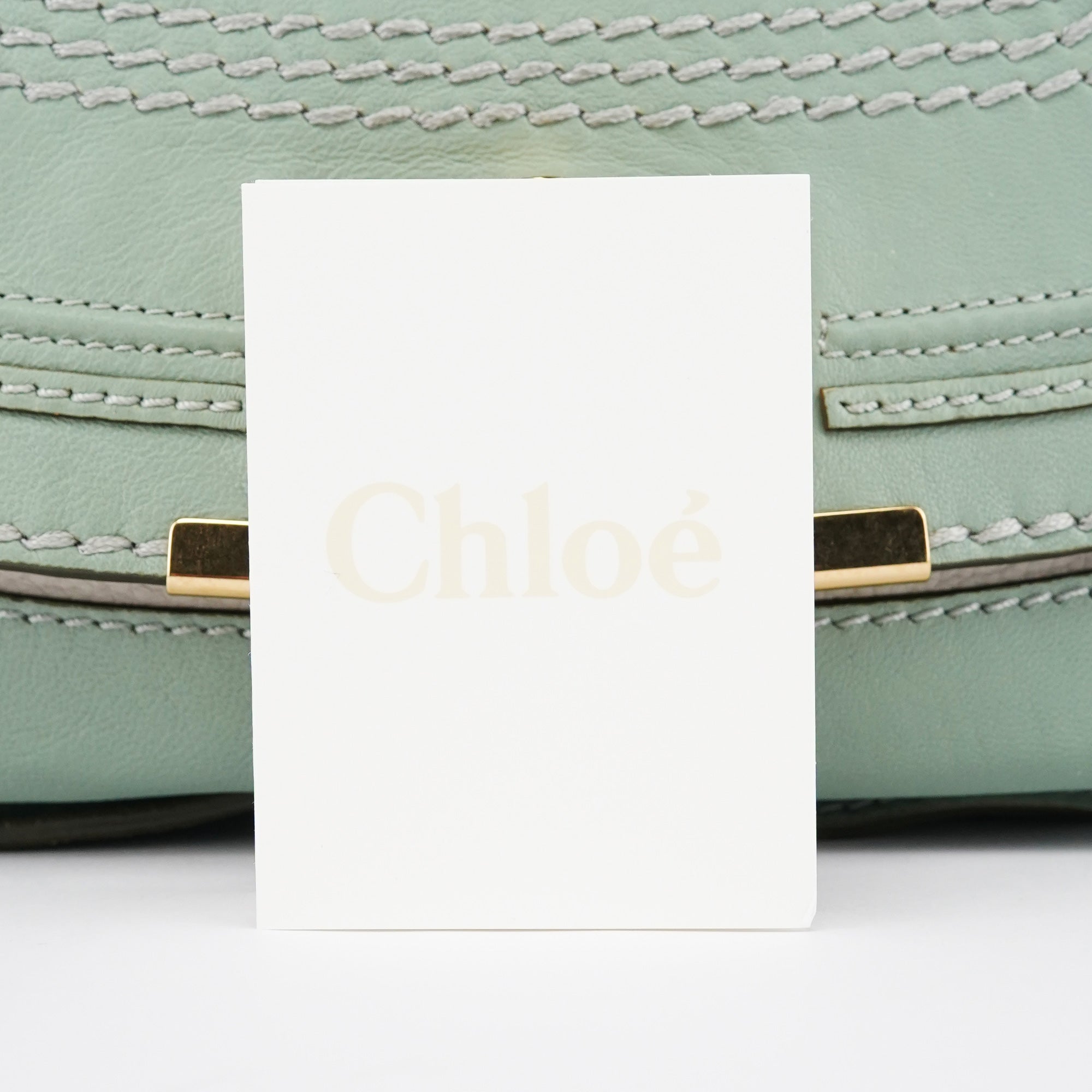 Sage Green Leather Marcie 2-Way Bag
