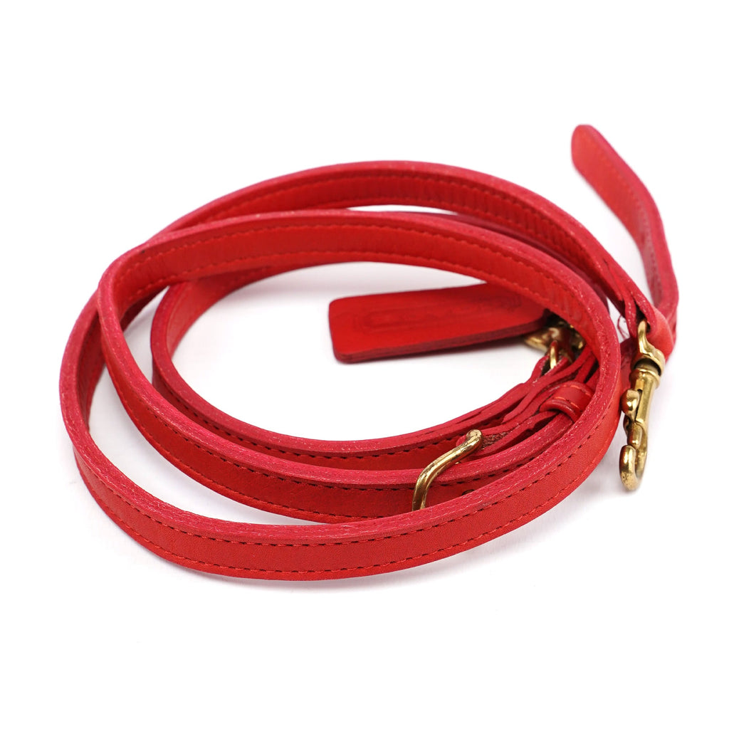 Red Leather Ergo 2-Way Bag