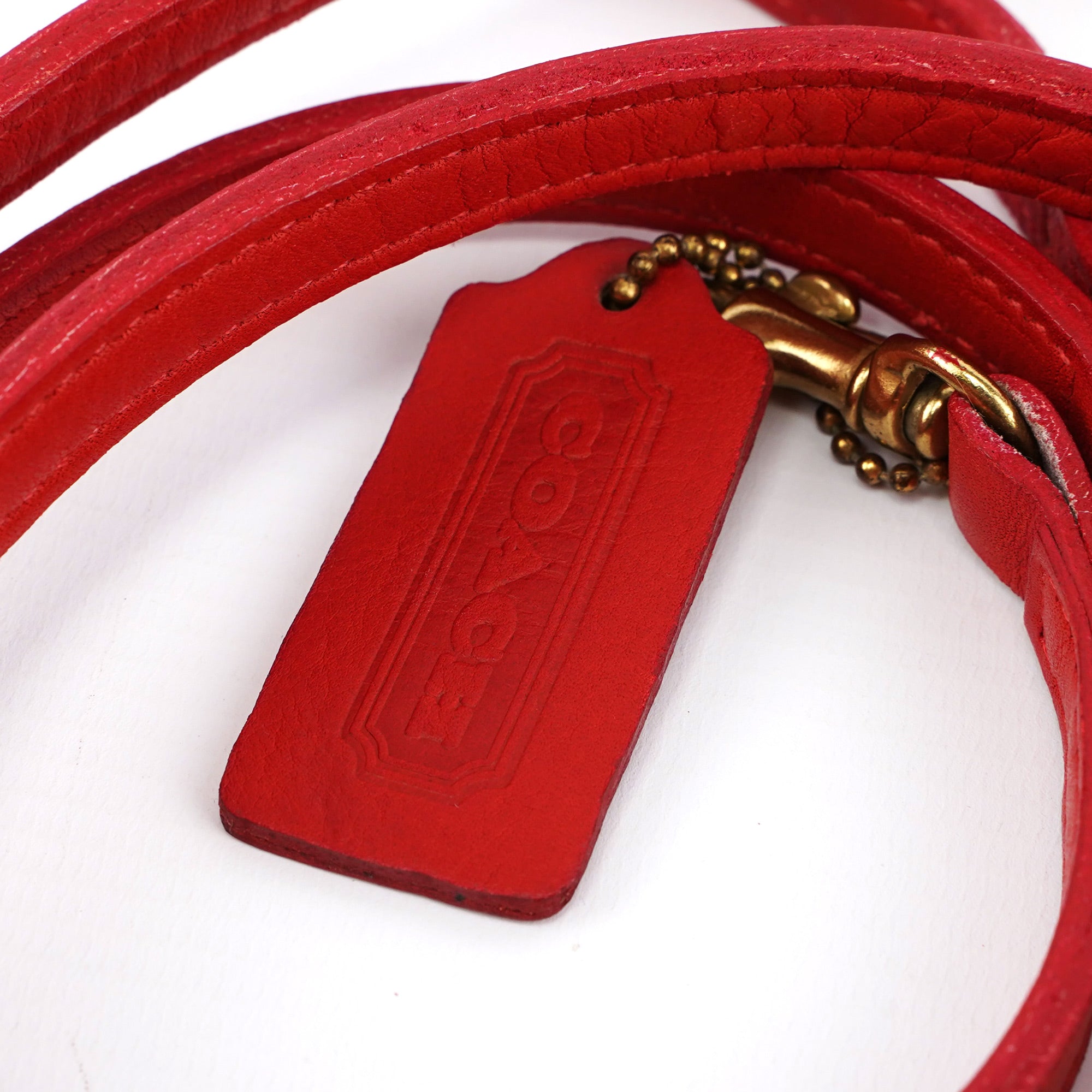 Red Leather Ergo 2-Way Bag