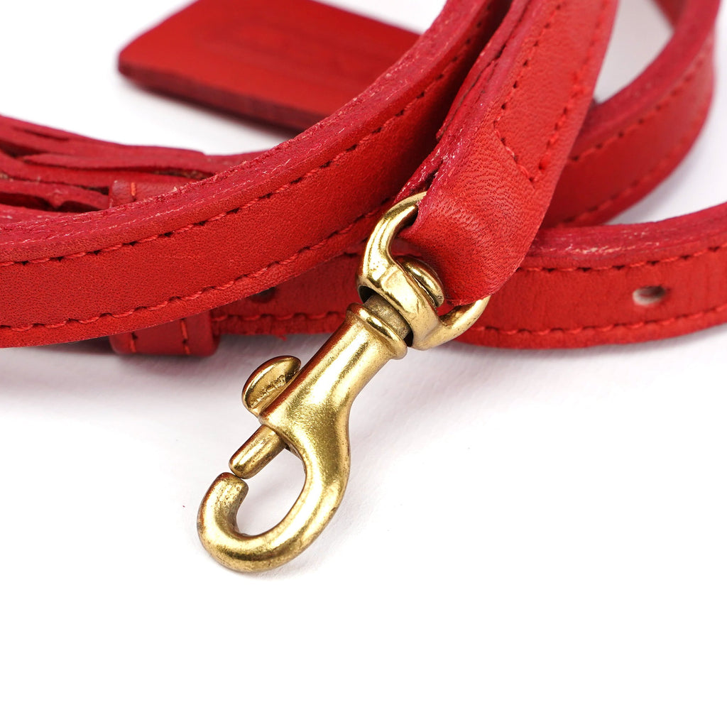 Red Leather Ergo 2-Way Bag