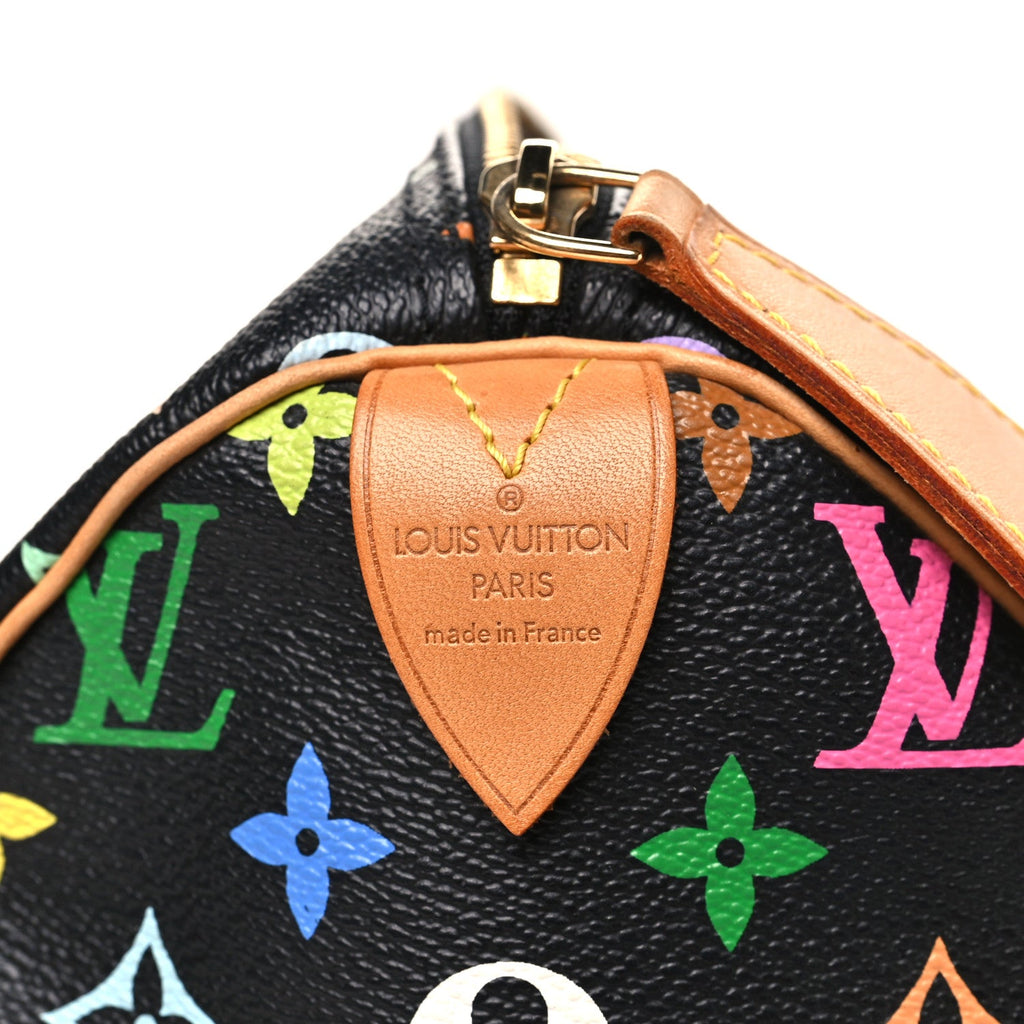 Monogram Multicolor Speedy 30 Black
