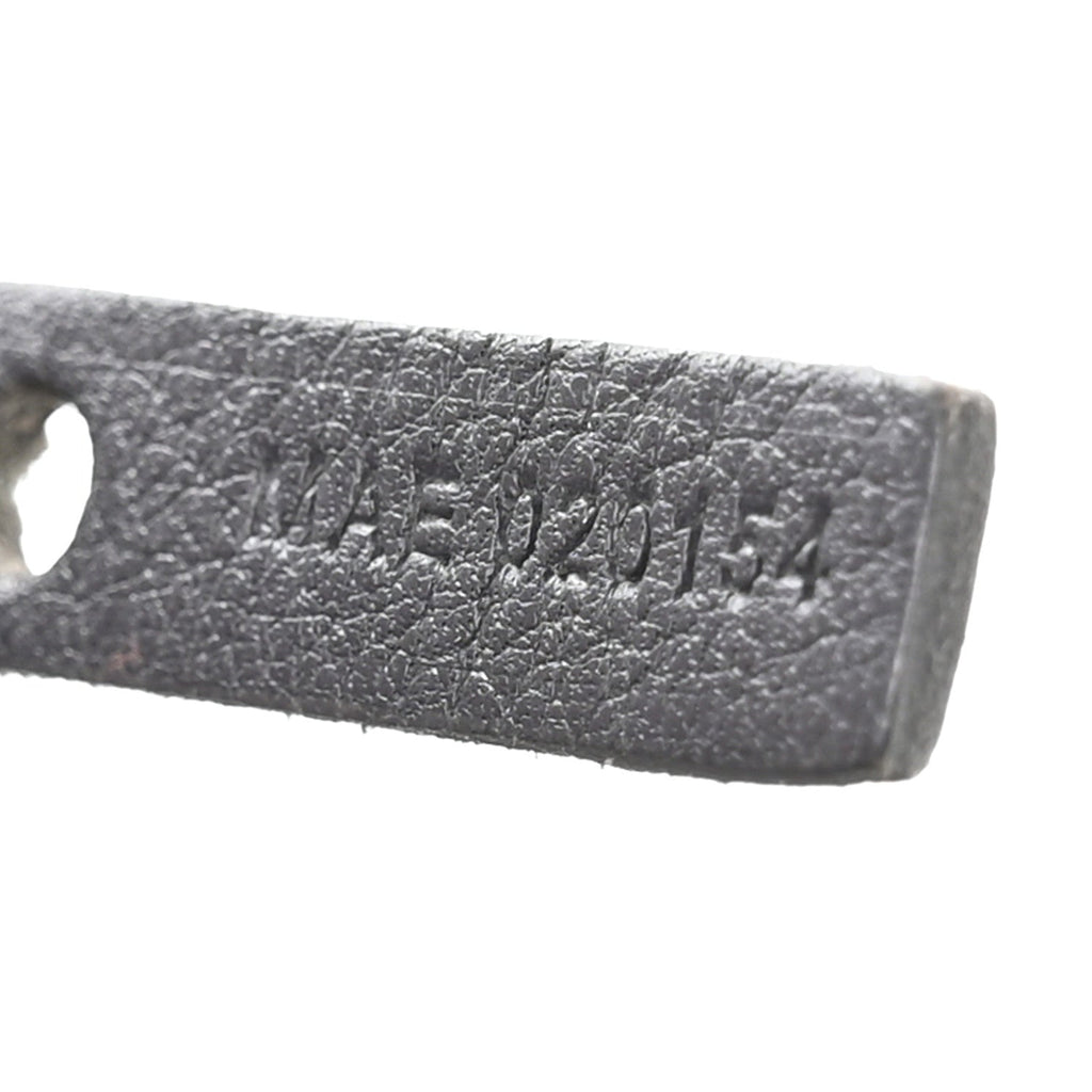 Goyardine Saint Louis PM Grey