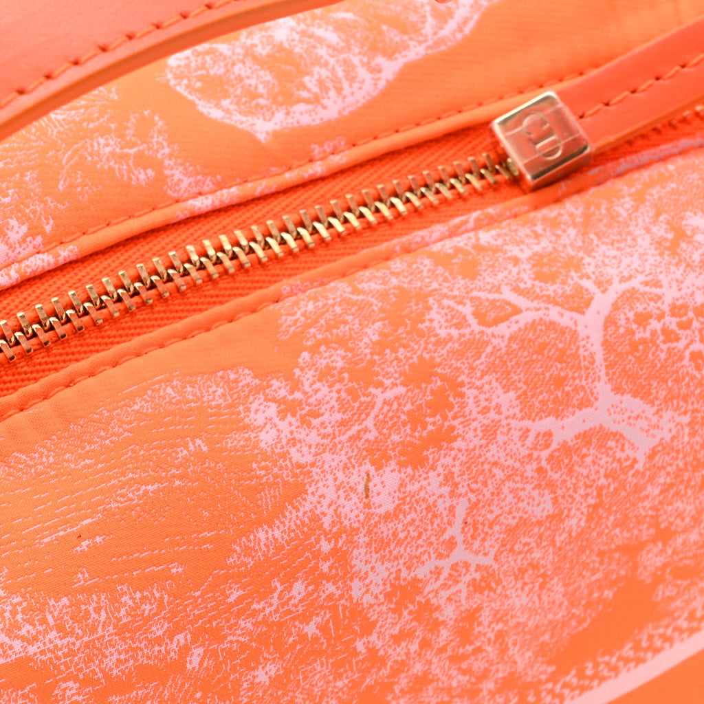 Technical Fabric Toile De Jouy DiorTravel Nomad Pouch Orange