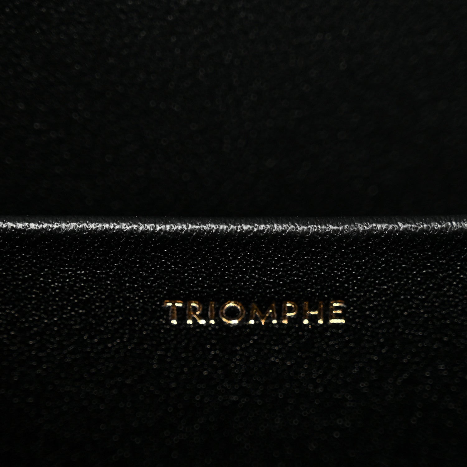 Shiny Calfskin Medium Triomphe Black