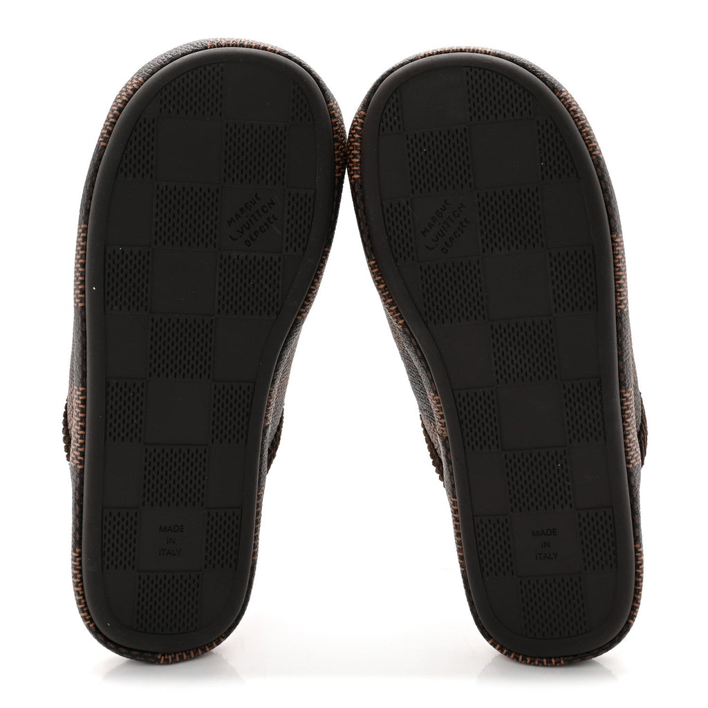 Damier Ebene Palace Slippers 35 Mocha