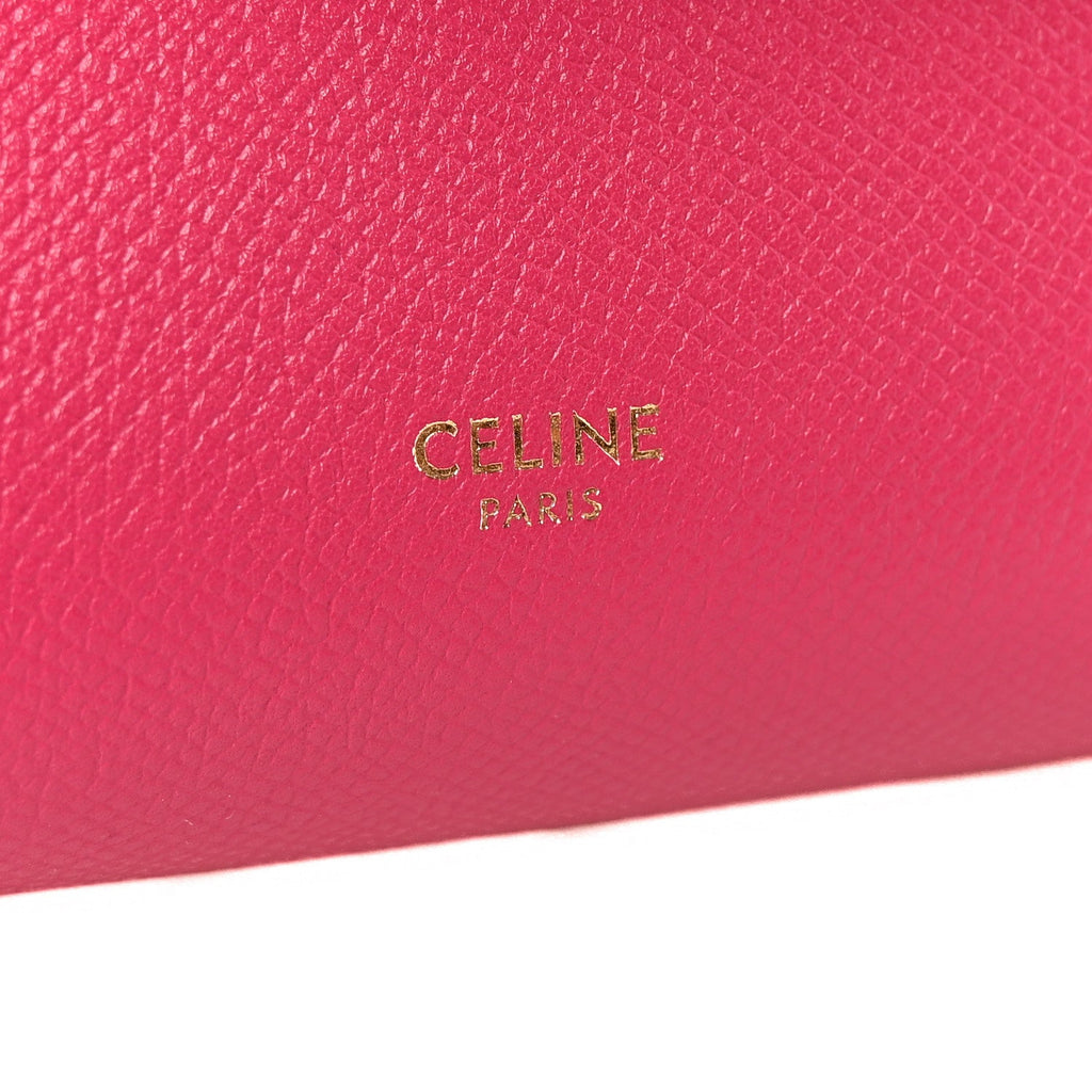 Grained Calfskin Nano Belt Bag Raspberry