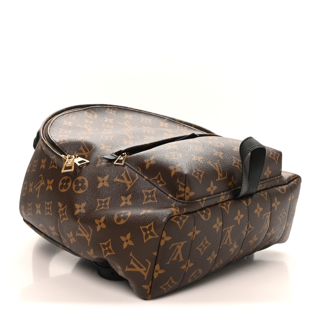 Monogram Palm Springs Backpack MM