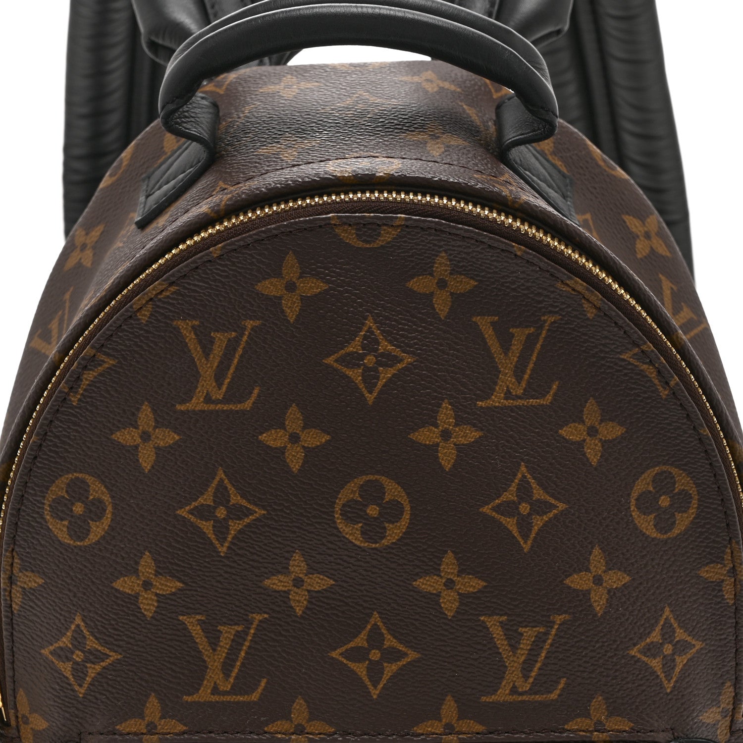Monogram Palm Springs Backpack PM