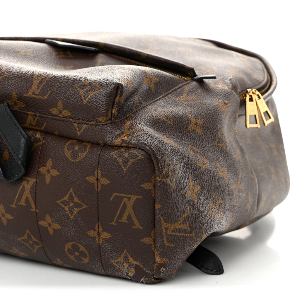 Monogram Palm Springs Backpack MM