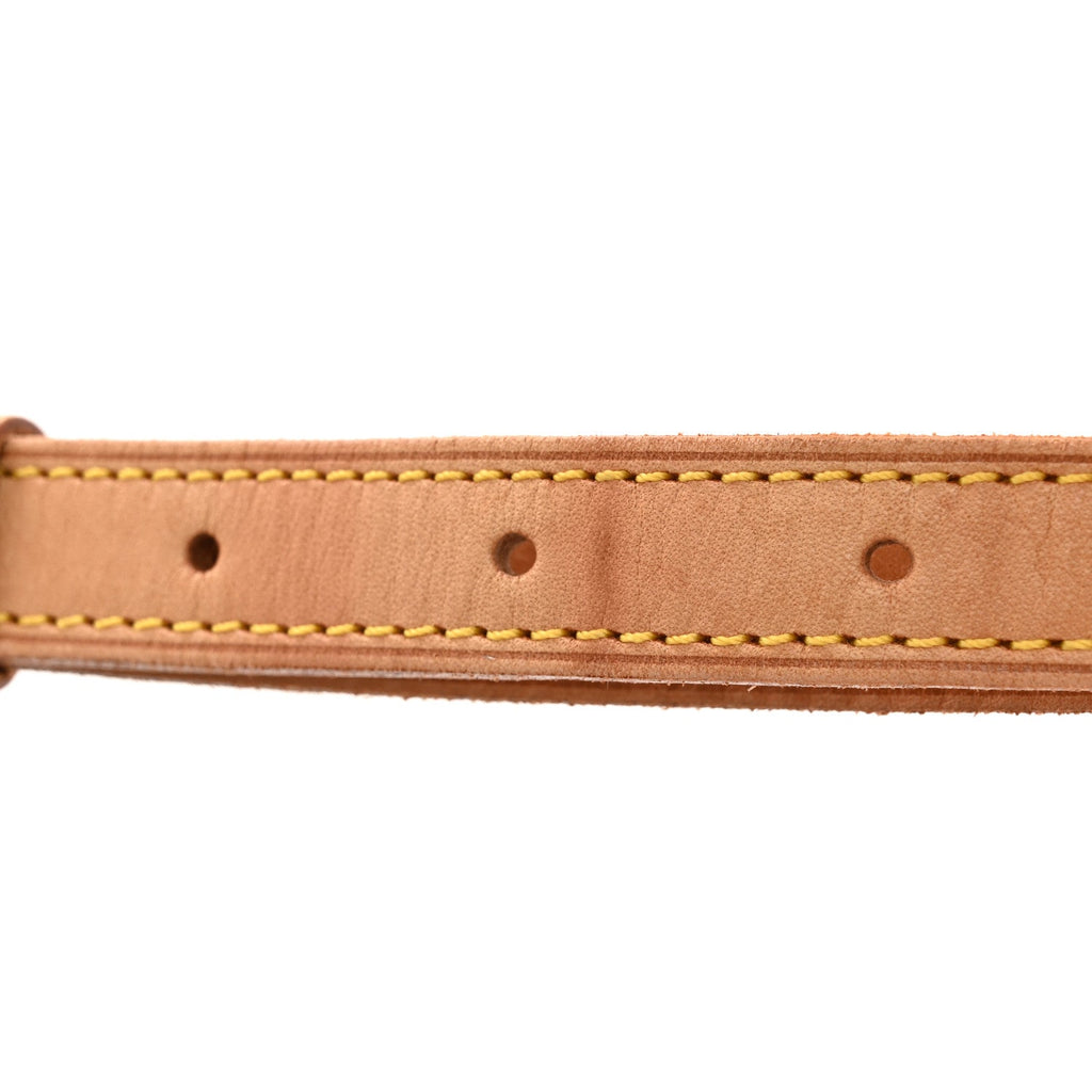 Monogram Viva-Cite PM