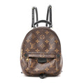 Monogram Palm Springs Backpack Mini