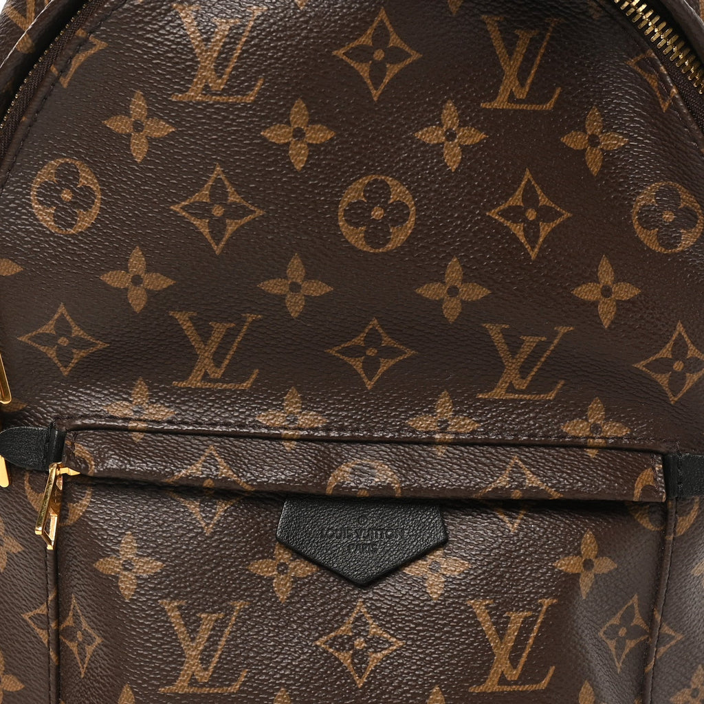 Monogram Palm Springs Backpack PM