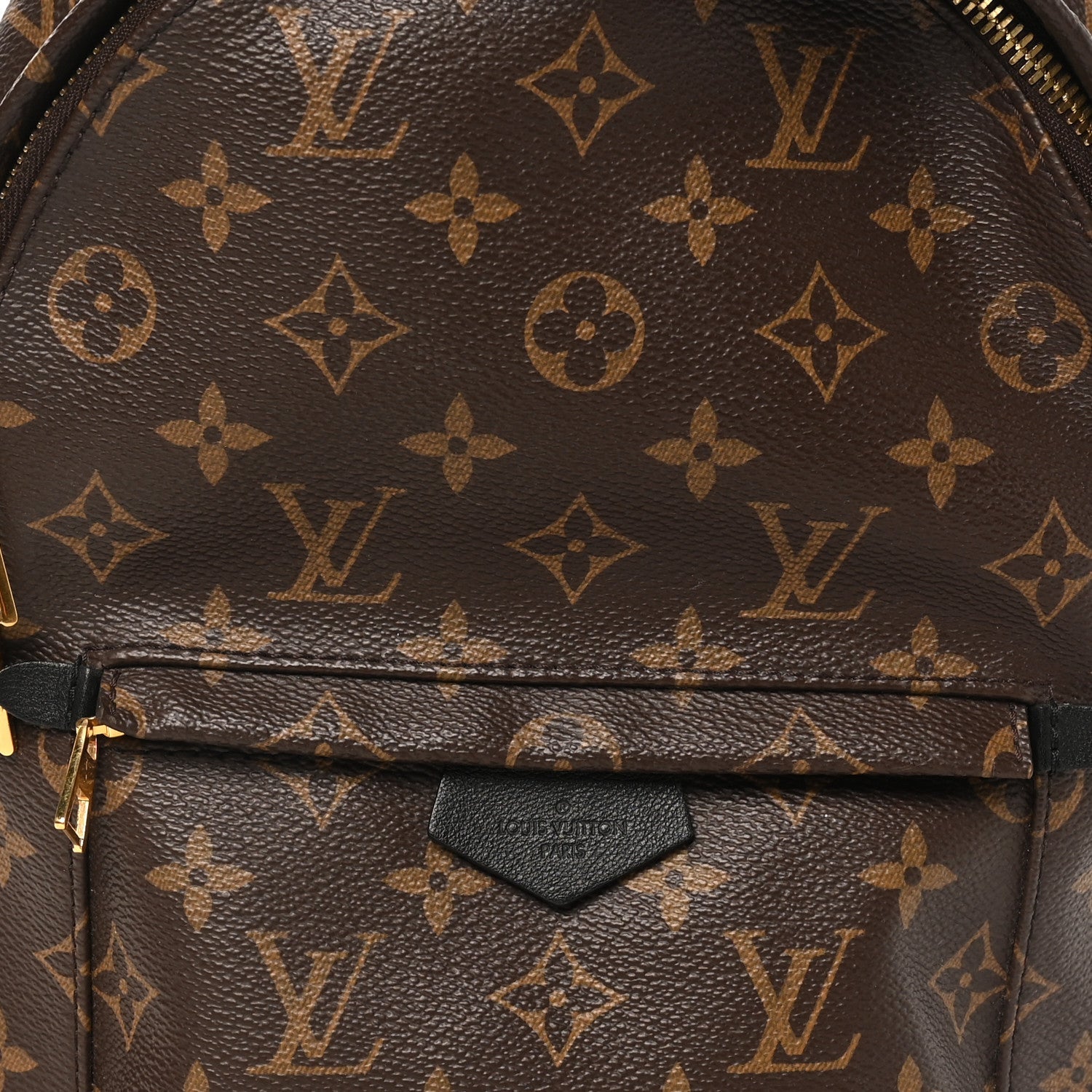 Monogram Palm Springs Backpack PM