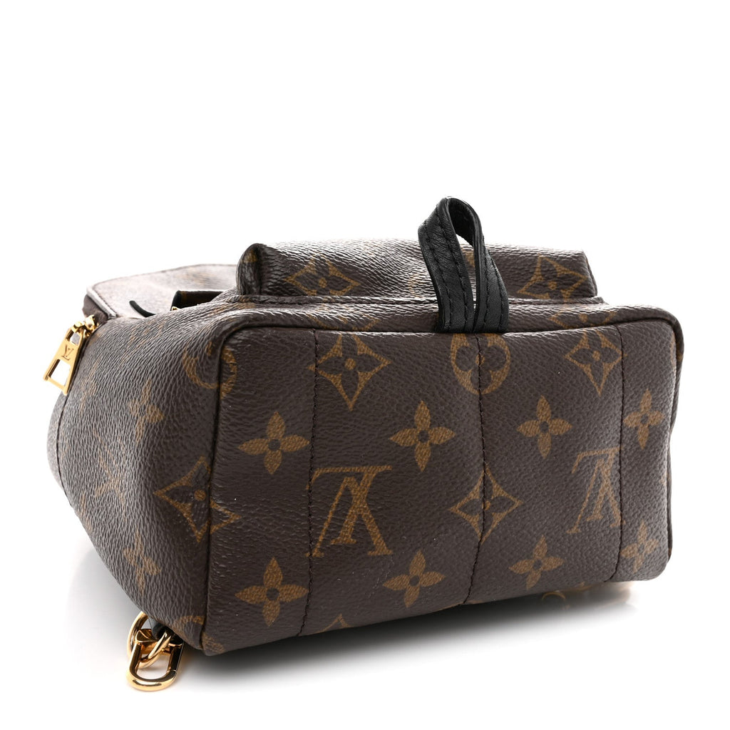 Monogram Palm Springs Backpack Mini