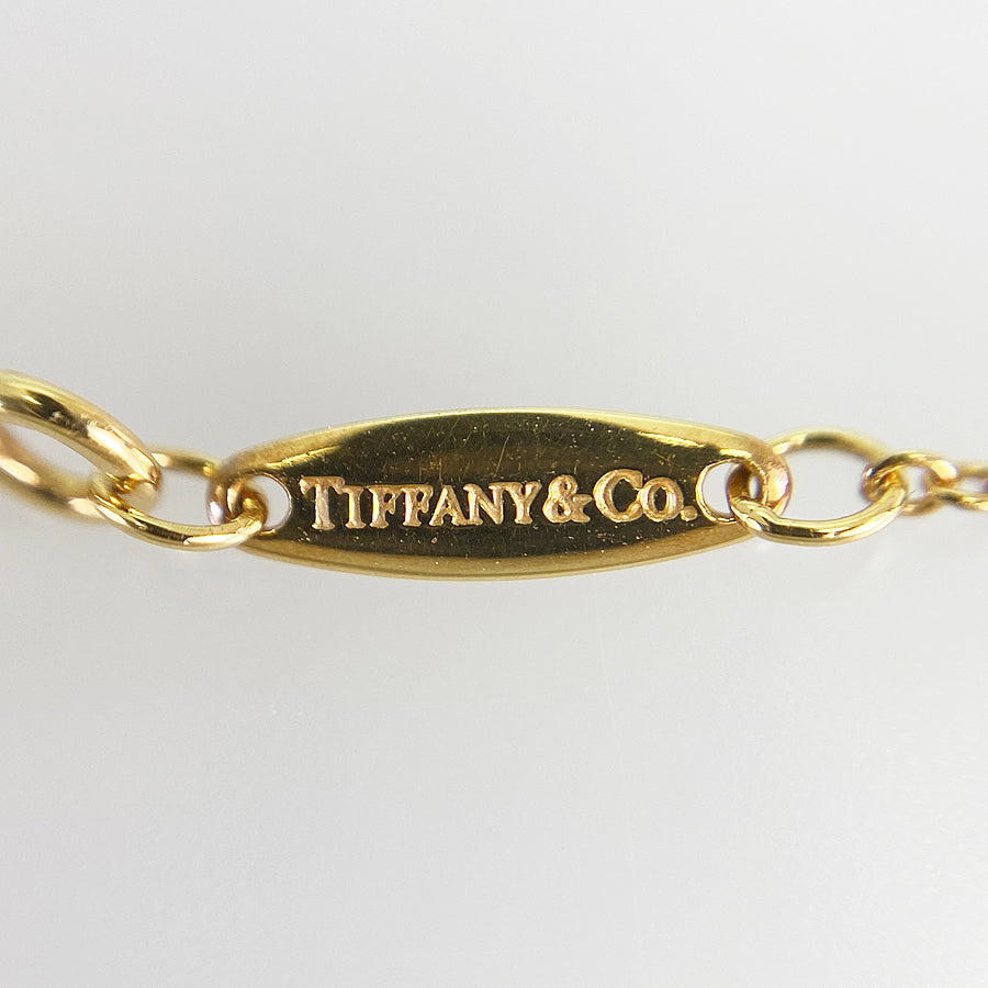 TIFFANY&Co. By The Yard Necklace